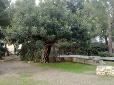 Bari, le panchine nascoste di parco 2 Giugno